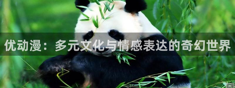 在线观看91动漫