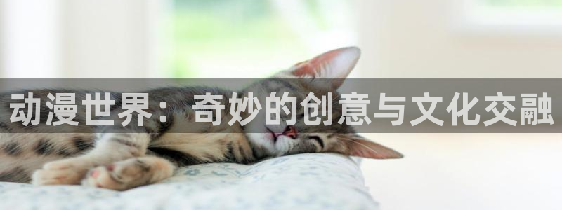 城市猎人91动漫在线看