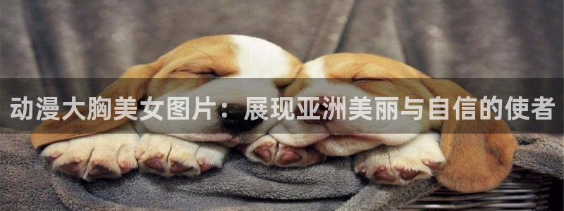 91动漫大片动漫