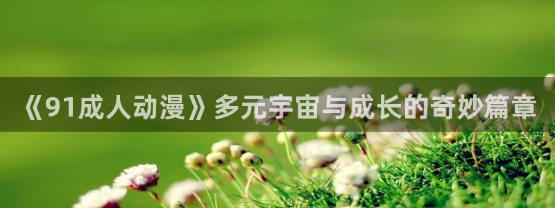 91动漫视频免费观看